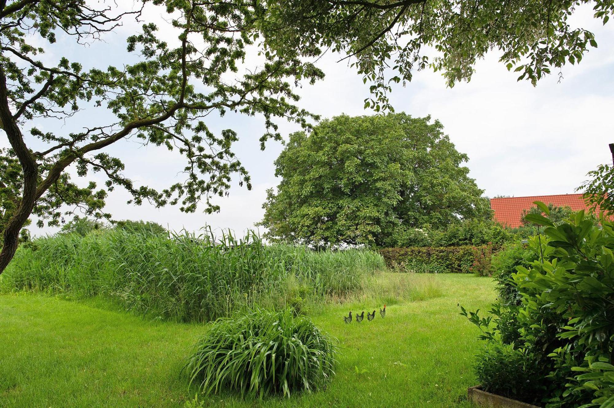 Entenhaus Hilgendorf 外观 照片